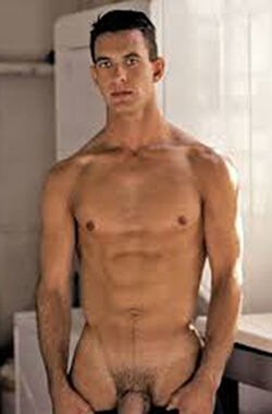 David French