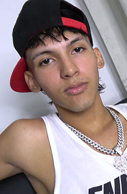 Nau Vega