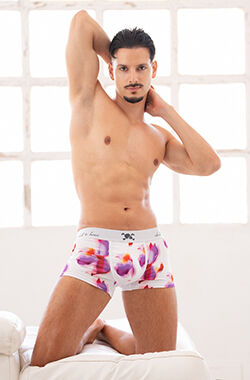 Fabio Stallion