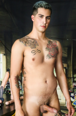Theo Knoxx