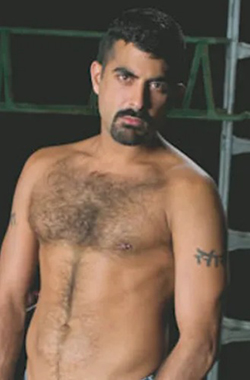 Sarib