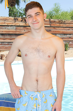 Harrison Todd